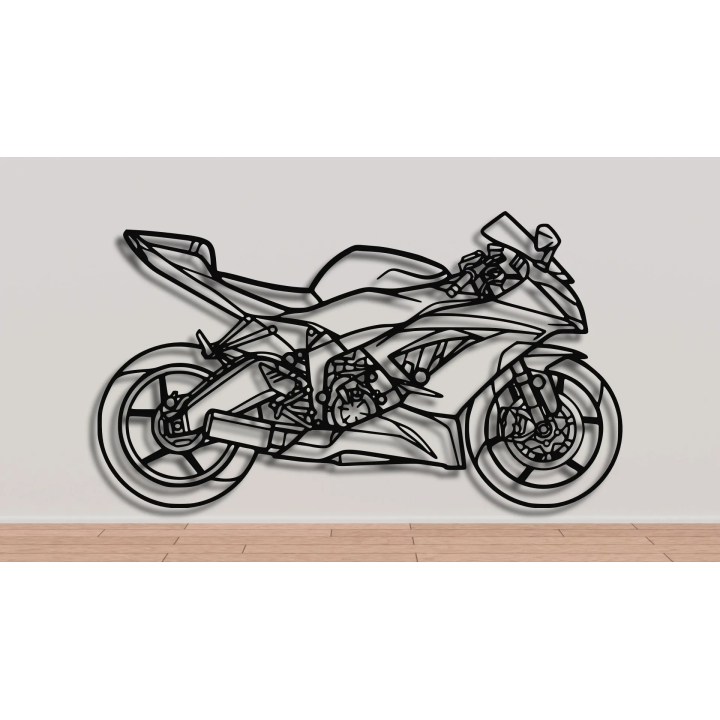 Kawasaki Ninja ZX 6R 2013 full silhouette