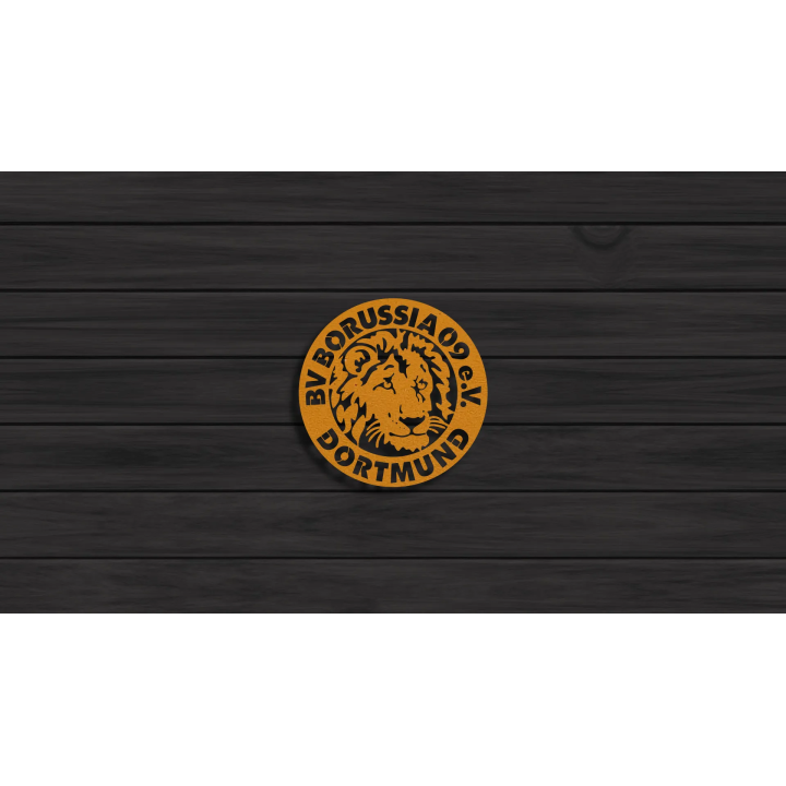 Borussia Dortmund cortensteel sign