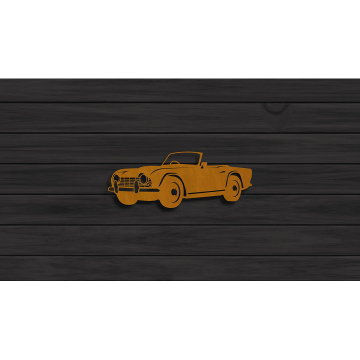 Triumph TR4 sign